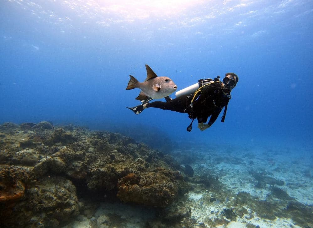 4D3N Sipadan Cruise