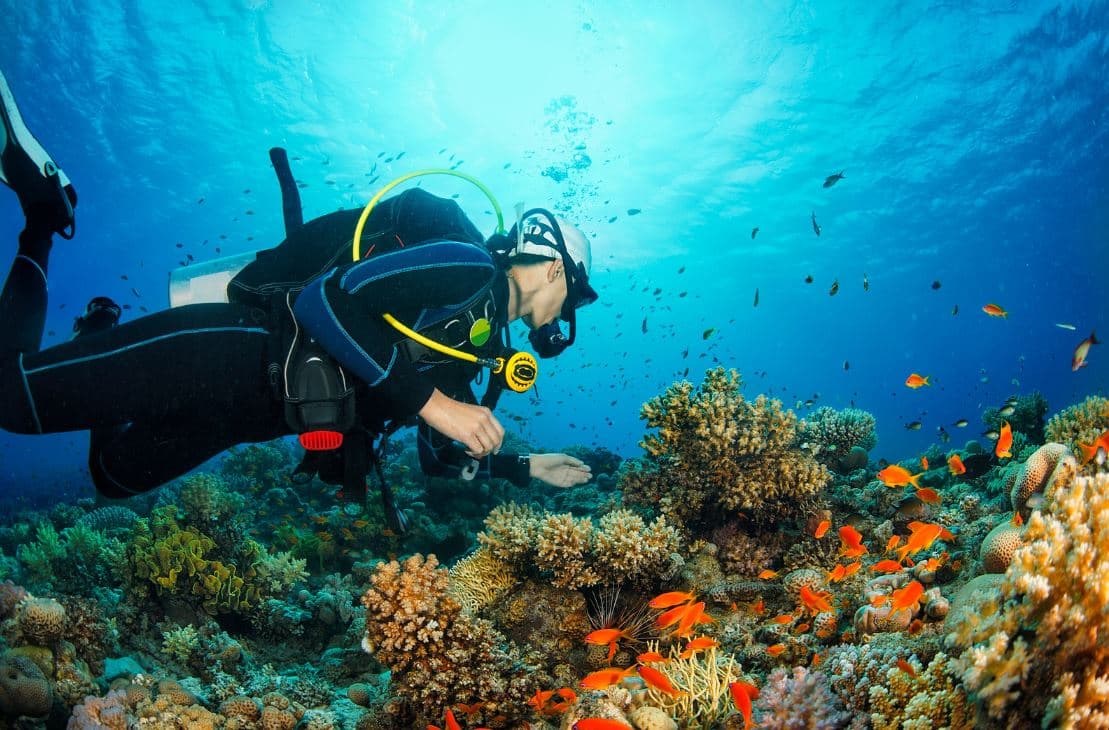 Sipadan diving experience