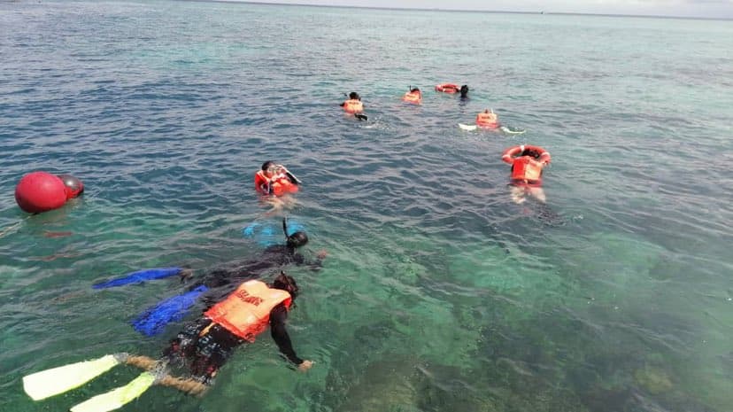 Dive Guides