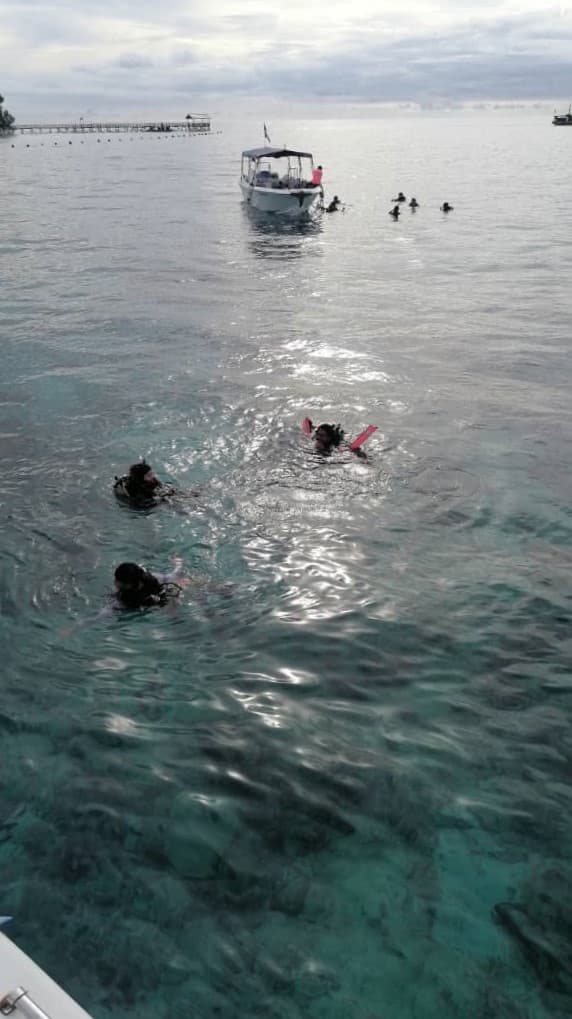 Marine encounter